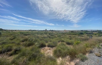 Resale - Terreno rural - Elche Pedanías - LOS BALSARES