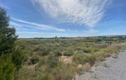 Resale - Terreno rural - Elche Pedanías - LOS BALSARES