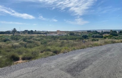 Resale - Terreno rural - Elche Pedanías - LOS BALSARES