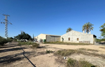Resale - Villa - Elche Pedanías - La Hoya