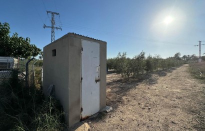 Resale - Villa - Elche Pedanías - La Hoya