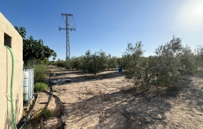 Resale - Villa - Elche Pedanías - La Hoya