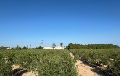 Resale - Villa - Elche Pedanías - La Hoya