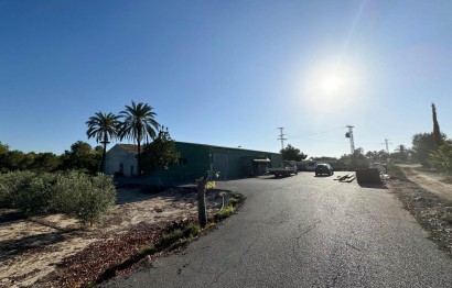 Resale - Villa - Elche Pedanías - La Hoya