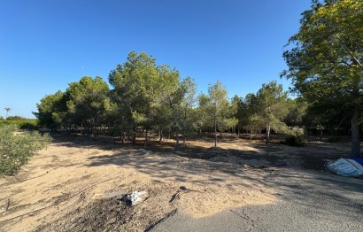 Resale - Villa - Elche Pedanías - La Hoya