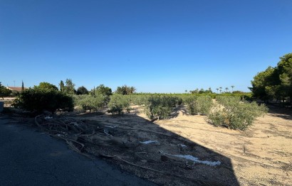 Resale - Villa - Elche Pedanías - La Hoya