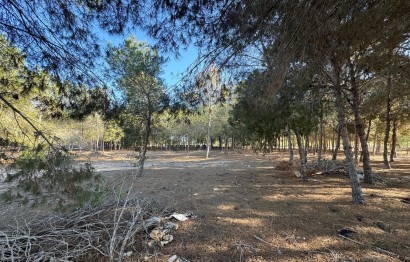 Resale - Villa - Elche Pedanías - La Hoya