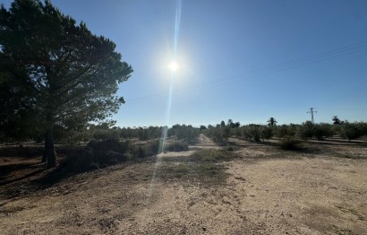 Resale - Villa - Elche Pedanías - La Hoya
