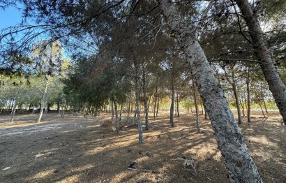 Resale - Villa - Elche Pedanías - La Hoya