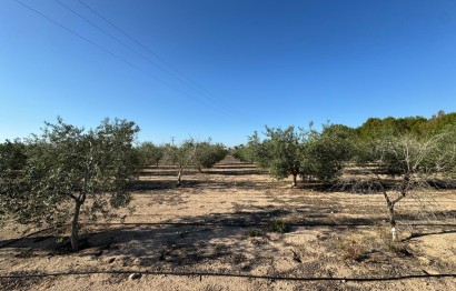 Resale - Villa - Elche Pedanías - La Hoya
