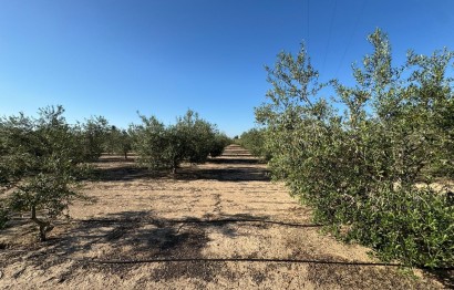 Resale - Villa - Elche Pedanías - La Hoya