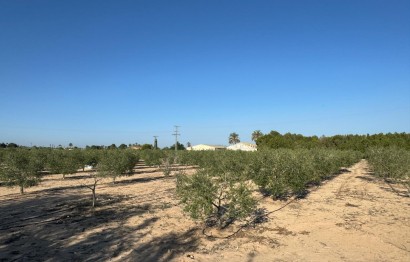 Resale - Villa - Elche Pedanías - La Hoya