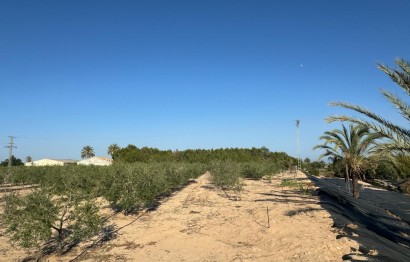 Resale - Villa - Elche Pedanías - La Hoya