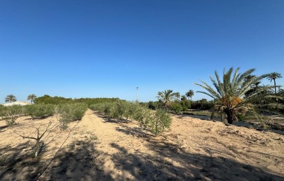 Resale - Villa - Elche Pedanías - La Hoya