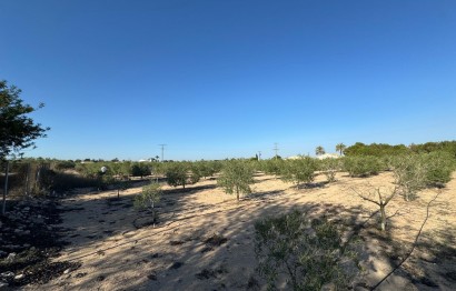 Resale - Villa - Elche Pedanías - La Hoya