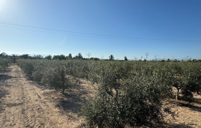 Resale - Villa - Elche Pedanías - La Hoya