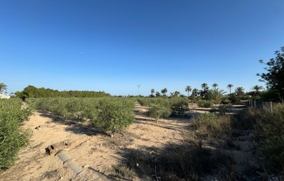 Resale - Villa - Elche Pedanías - La Hoya