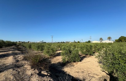 Resale - Villa - Elche Pedanías - La Hoya