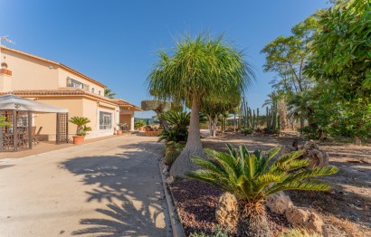 Resale - Villa - Elche Pedanías - Jubalcoy