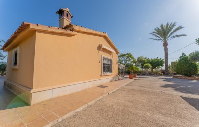 Resale - Villa - Elche Pedanías - Jubalcoy
