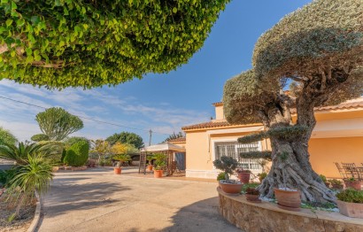 Resale - Villa - Elche Pedanías - Jubalcoy