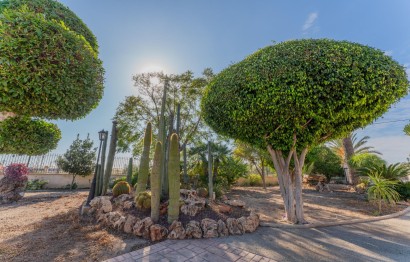 Resale - Villa - Elche Pedanías - Jubalcoy