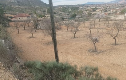 Resale - Casa Tipo Dúplex - Hondón de los Fráiles - HONDON D ELOS FRAILES ALICANTE ESPAÑA