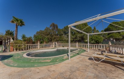 Resale - Villa - Elche Pedanías - El Altet - Balsares