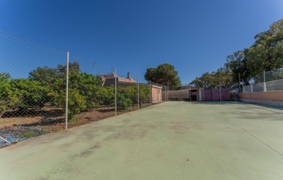 Resale - Villa - Elche Pedanías - El Altet - Balsares