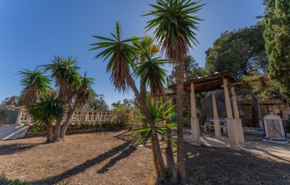 Resale - Villa - Elche Pedanías - El Altet - Balsares