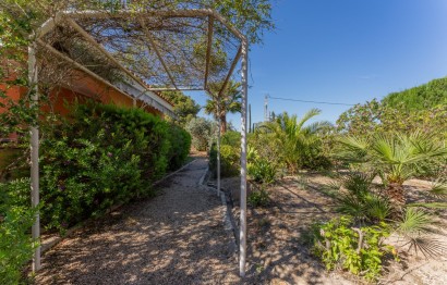 Resale - Villa - Elche Pedanías - El Altet - Balsares