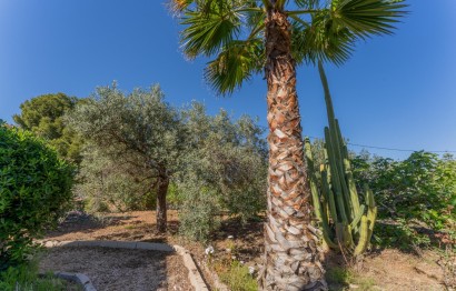 Resale - Villa - Elche Pedanías - El Altet - Balsares