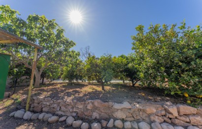 Resale - Villa - Elche Pedanías - El Altet - Balsares