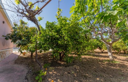 Resale - Villa - Elche Pedanías - El Altet - Balsares