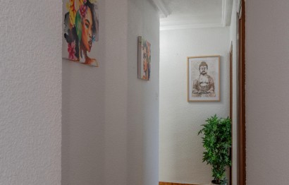 Revente - Appartement - Elche - Asilo - Pisos Azules