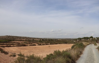 Resale - Plot / Land - Elche Pedanías - Balsares