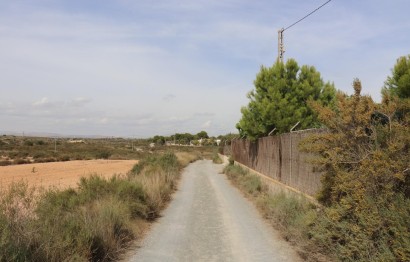 Resale - Plot / Land - Elche Pedanías - Balsares