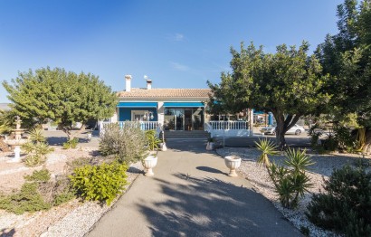 Resale - Villa - Matola - Algoda-Matola-Llano de San José