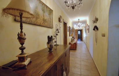 Resale - Villa - Elche Pedanías - Valverde