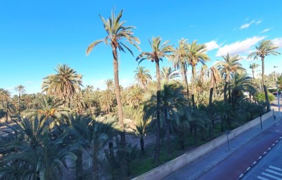 Revente - Appartement - Elche - Torreta - Portalada