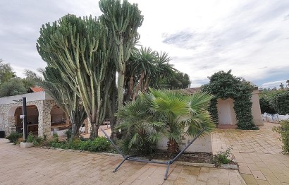 Resale - Villa - Elche Pedanías - Peña las Águilas