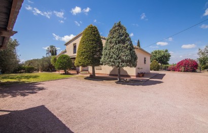 Resale - Villa - Elche Pedanías - Alzabares