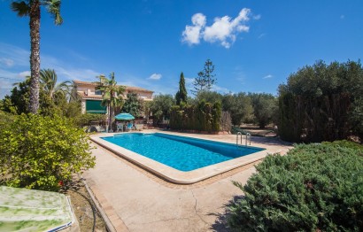 Resale - Villa - Elche Pedanías - Alzabares