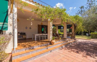Resale - Villa - Elche Pedanías - Alzabares