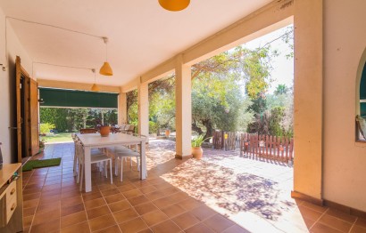 Resale - Villa - Elche Pedanías - Alzabares