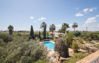 Resale - Villa - Elche Pedanías - Alzabares