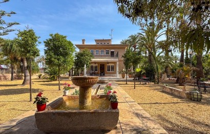 Resale - Casa de campo - Elche Pedanías - Alzabares