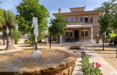 Resale - Casa de campo - Elche Pedanías - Alzabares