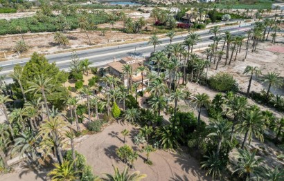 Resale - Casa de campo - Elche Pedanías - Alzabares