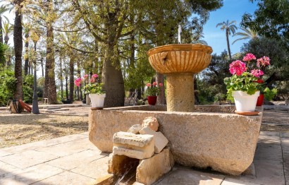 Resale - Casa de campo - Elche Pedanías - Alzabares